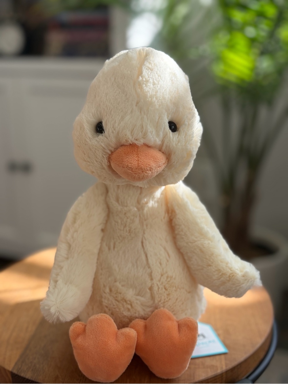 Jellycat Bashful Duck BNWT